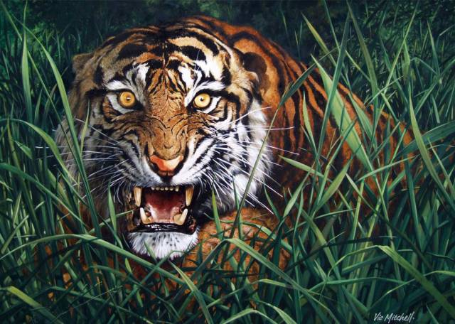 danger tiger in grass pic
