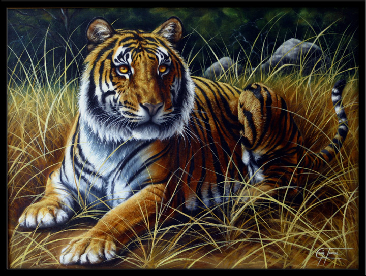 best tiger in grass image