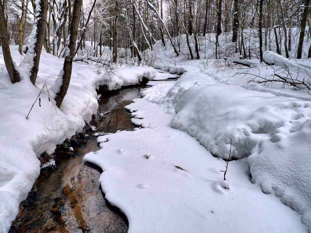 cute snow river photos image