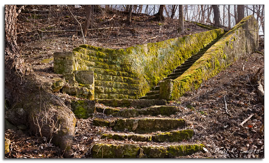 landscape mossy stairways picture