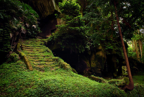 floral mossy stairways image