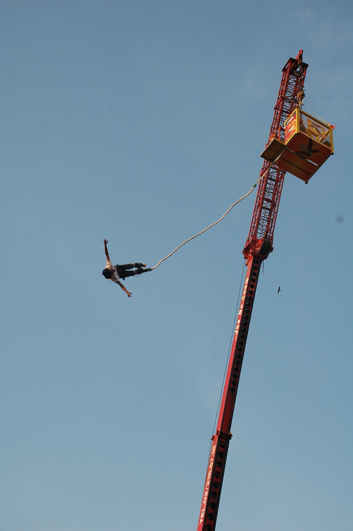 art bungee jumping image