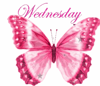 wednesday pink butterfly image