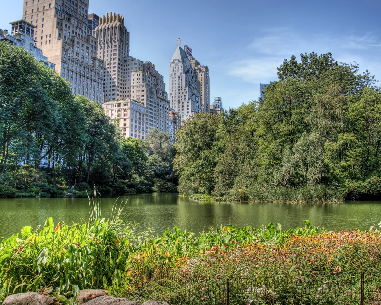 landscape central park image