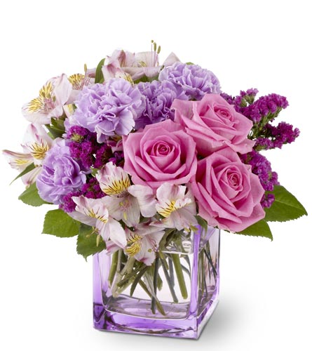 purple fresh flowers image