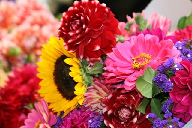 super fresh flowers image