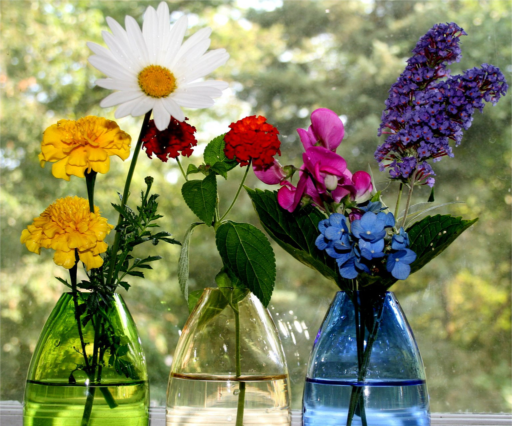 natural fresh flowers image