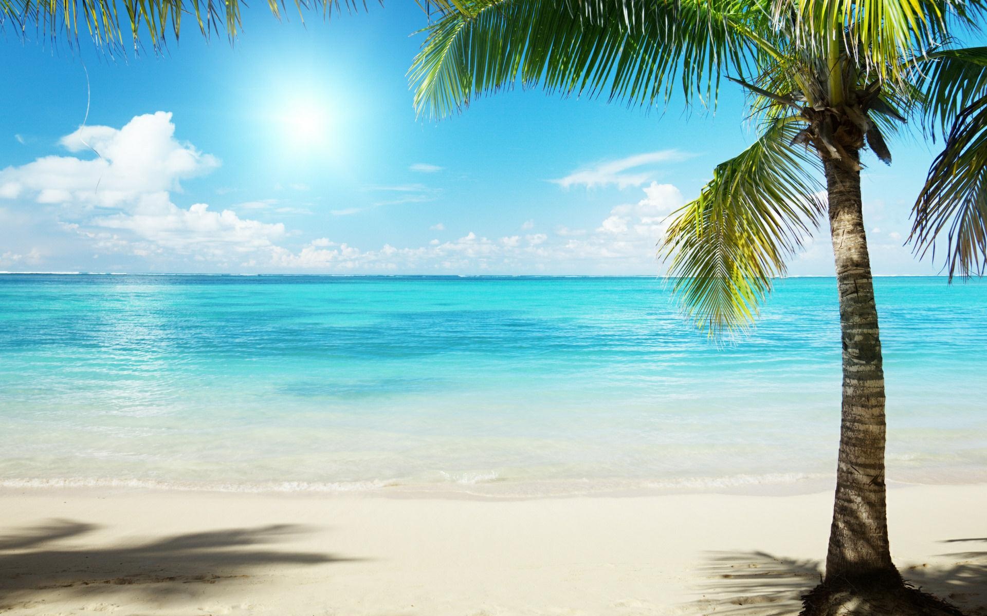 island tropical beach image