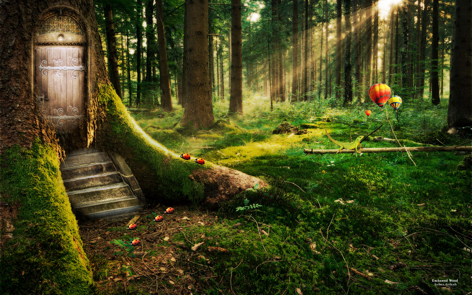widescreen HD forest image
