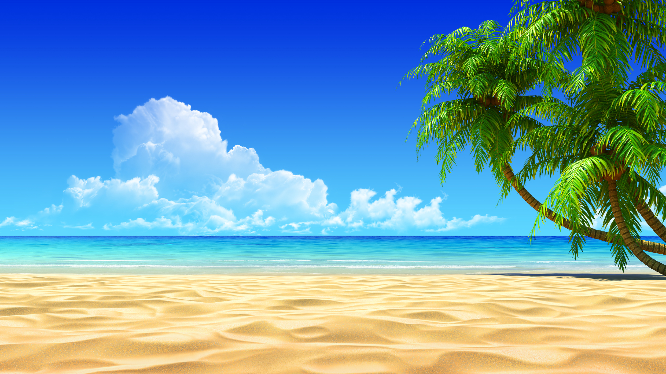 widescreen tropical beach image