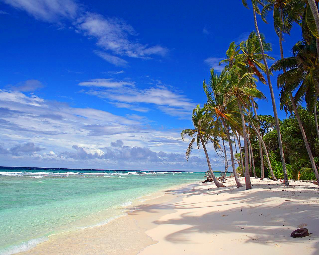 paradise style tropical beach