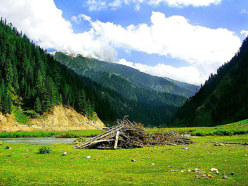 grass pakistan landscape image