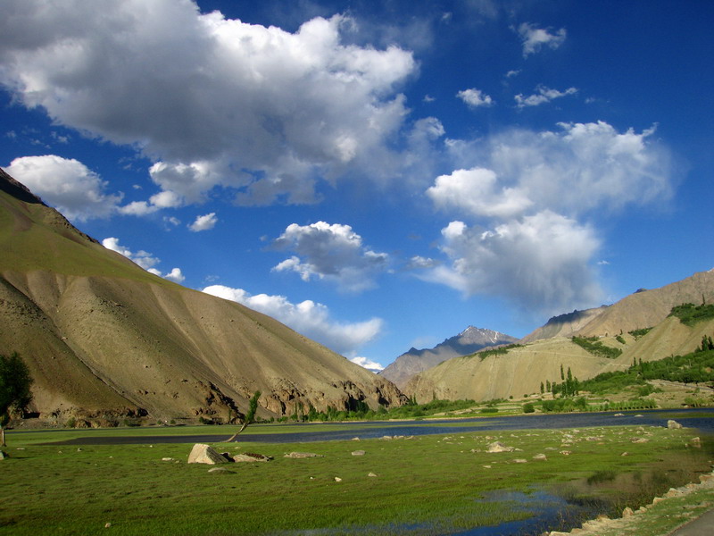 grass pakistan landscape image
