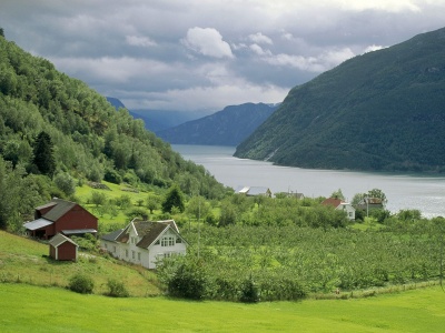 grass norway image pc