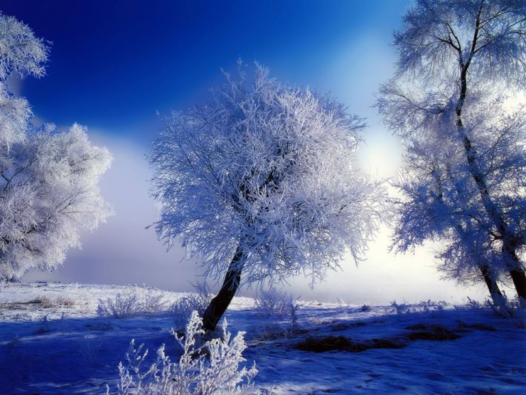 lovely snow wallpaper picture