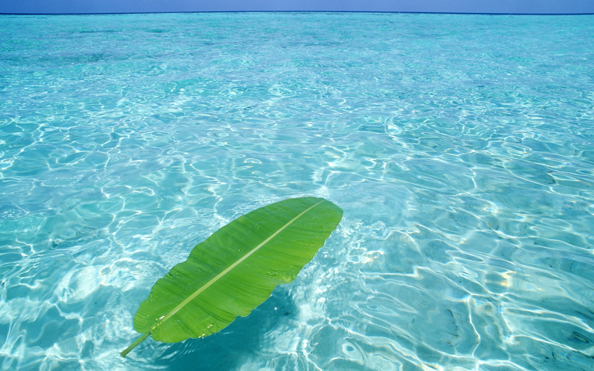 landscape hd sea water