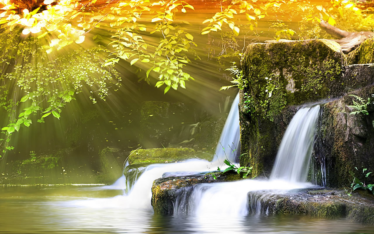 animated natural river wallpaper