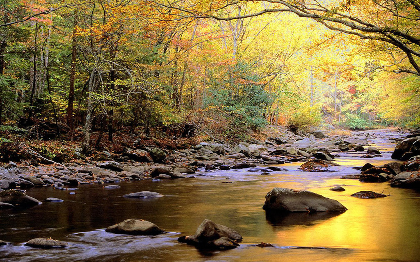 spring river wallpaper image