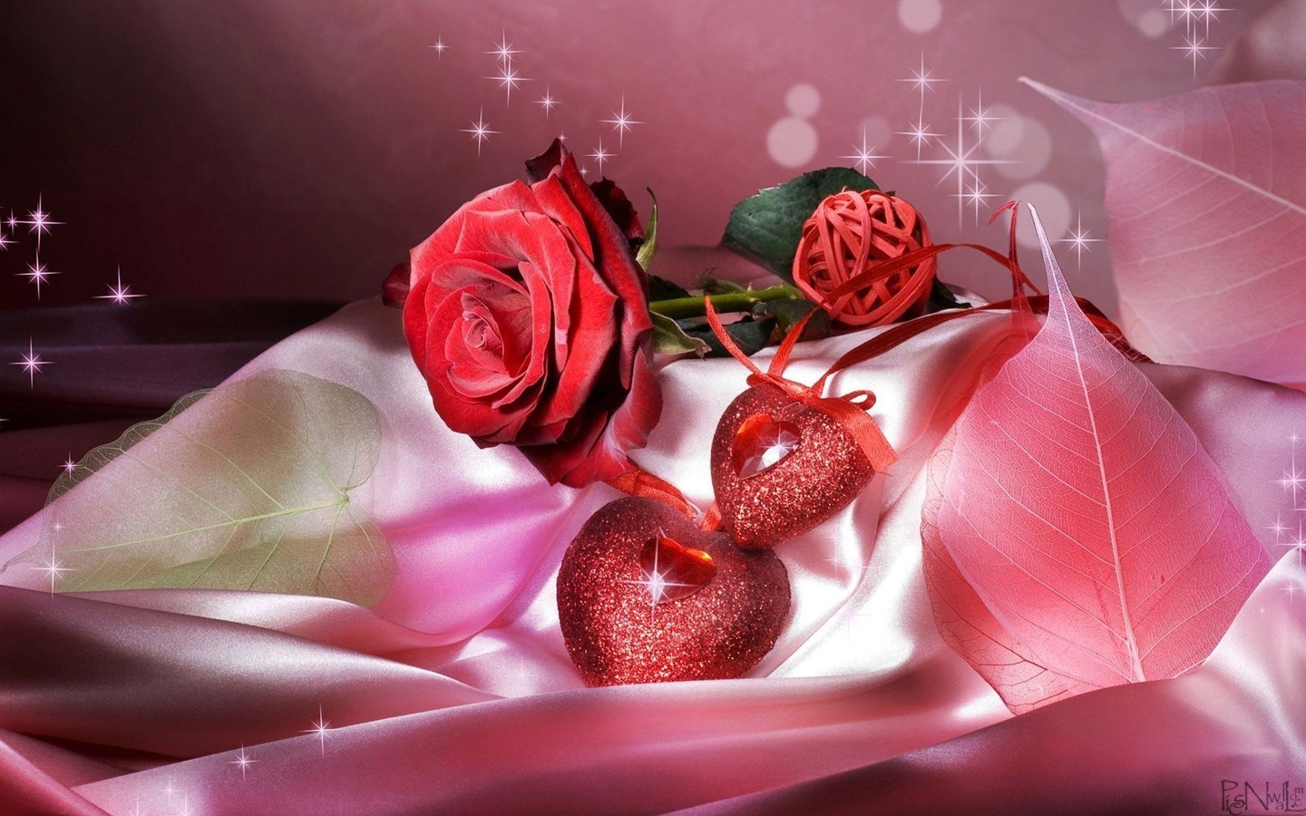 red roses HD lovely image