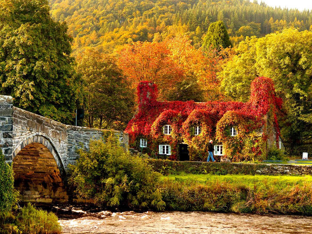 colorful autumn photos image