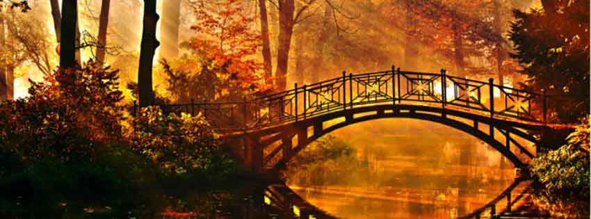 wonderful autumn photos image