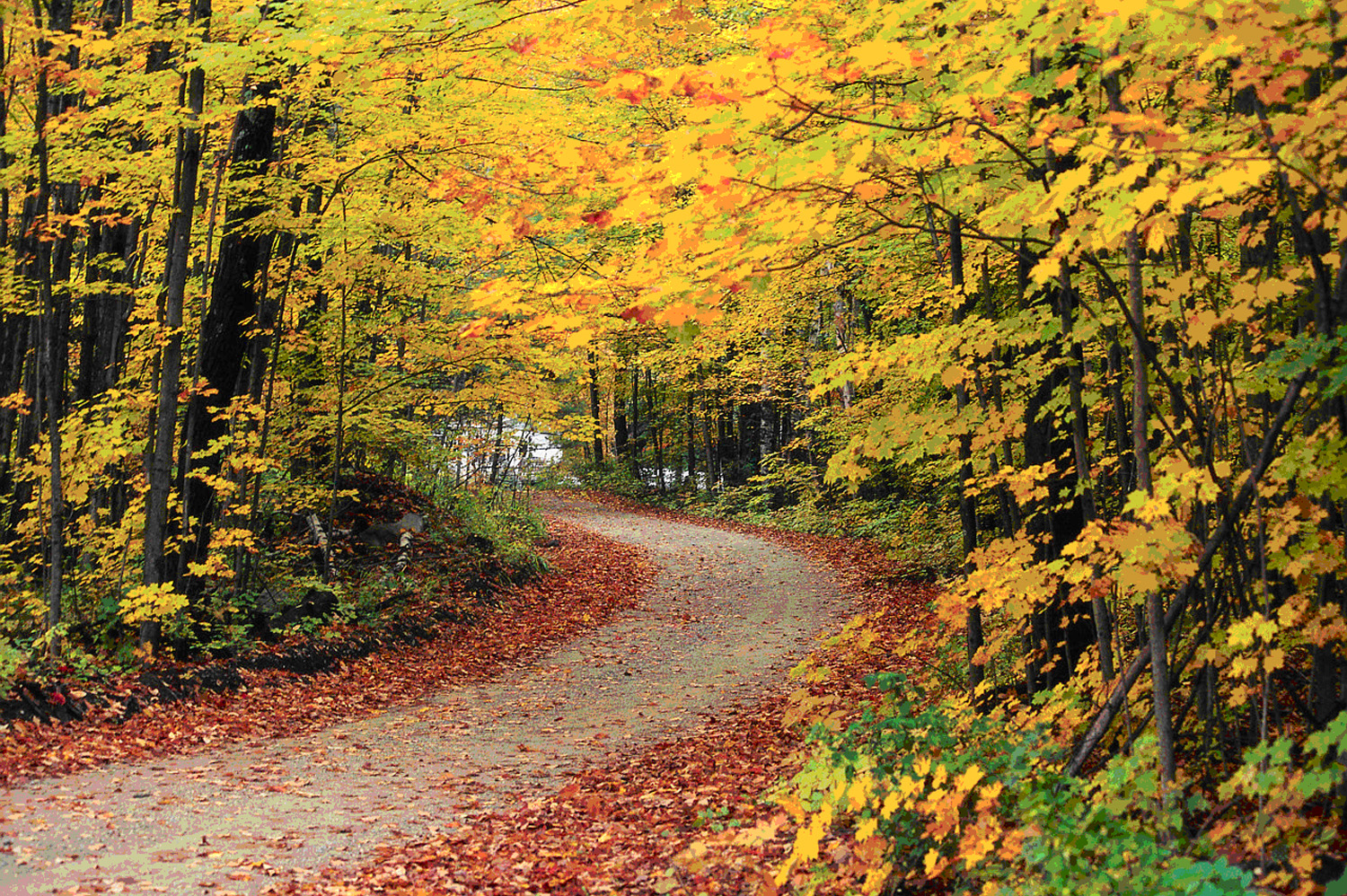 widescreen autumn photos image