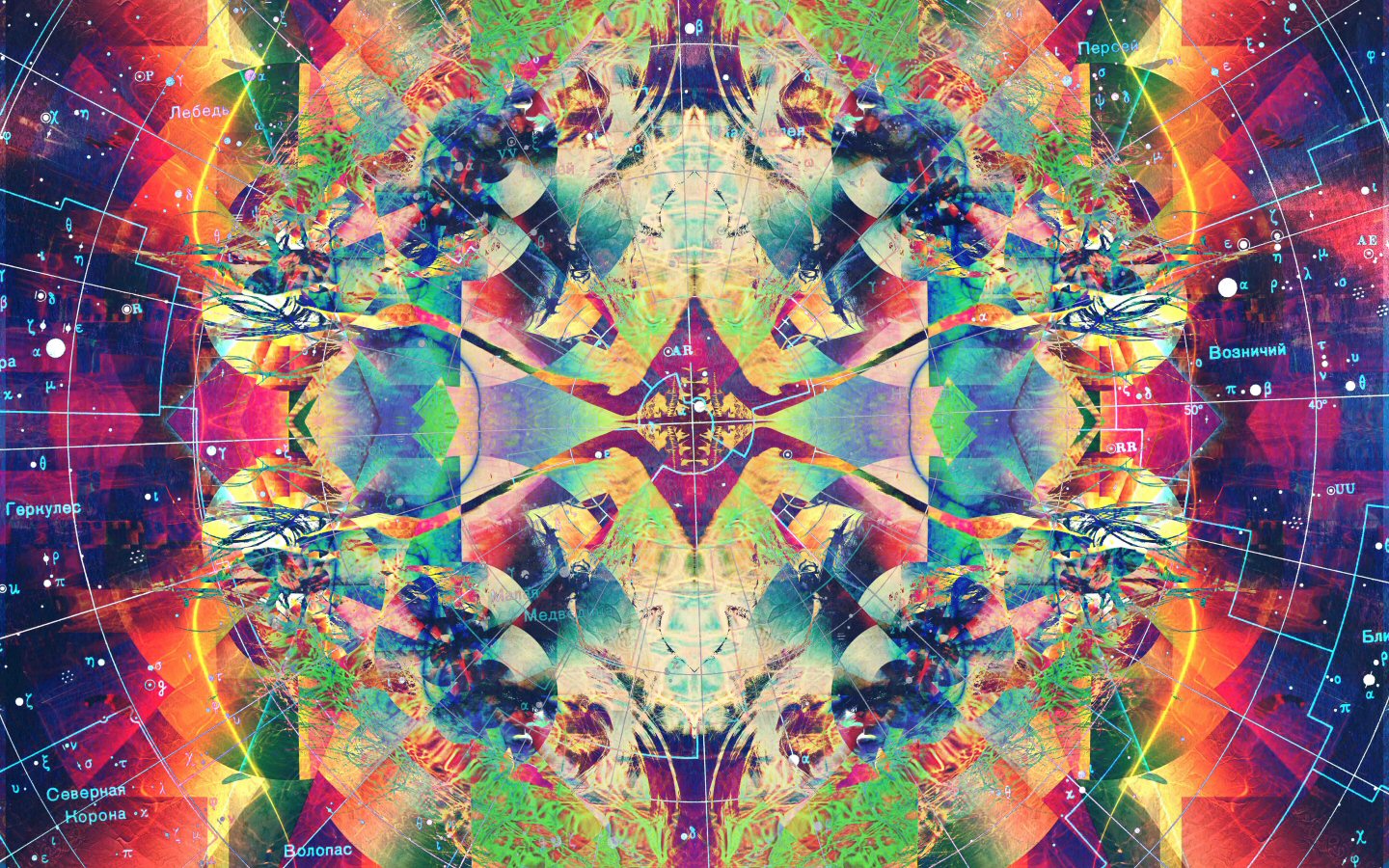 moko trippy photos image