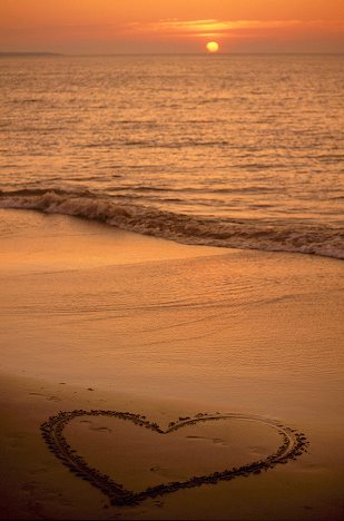 love and romance beach sunset photos