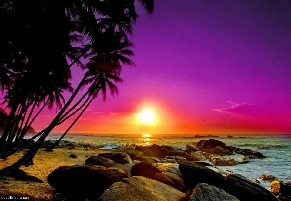beautiful beach sunset photos image