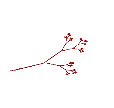 animation twig images