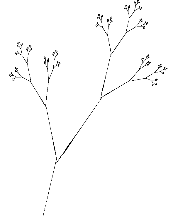 fractal twig images