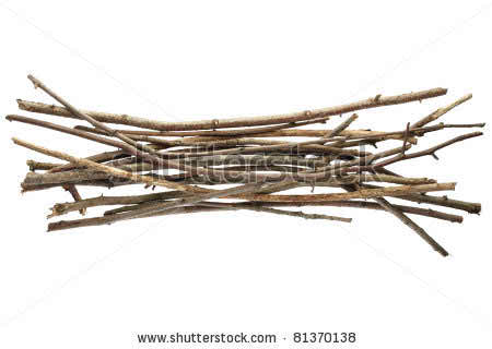 stock photo twig images