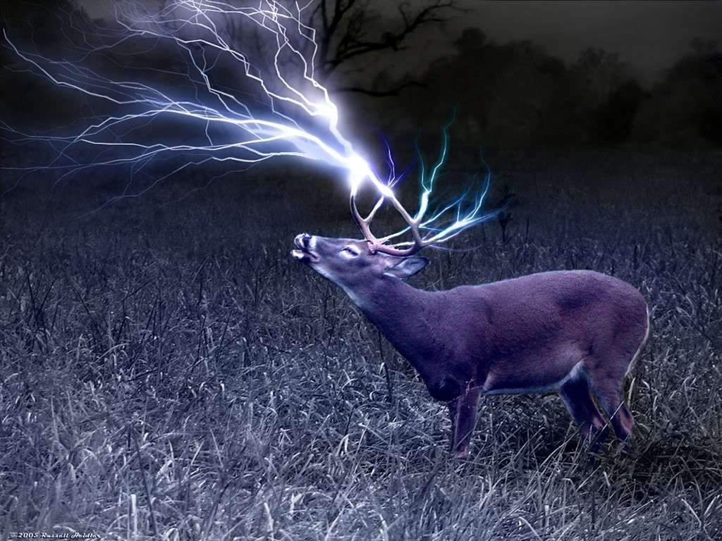 thread bow hunting wallpapers
