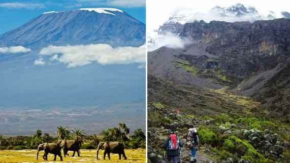 natural mount kilimanjaro wallpaper image