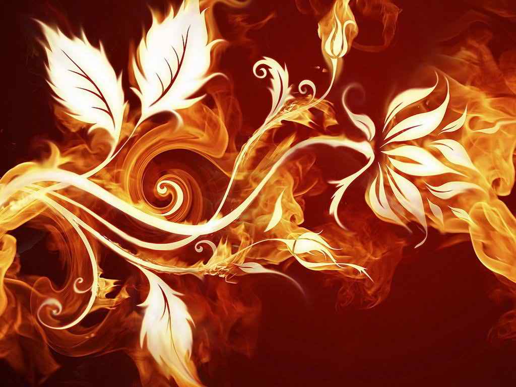 abstract fire flowers wallpapers