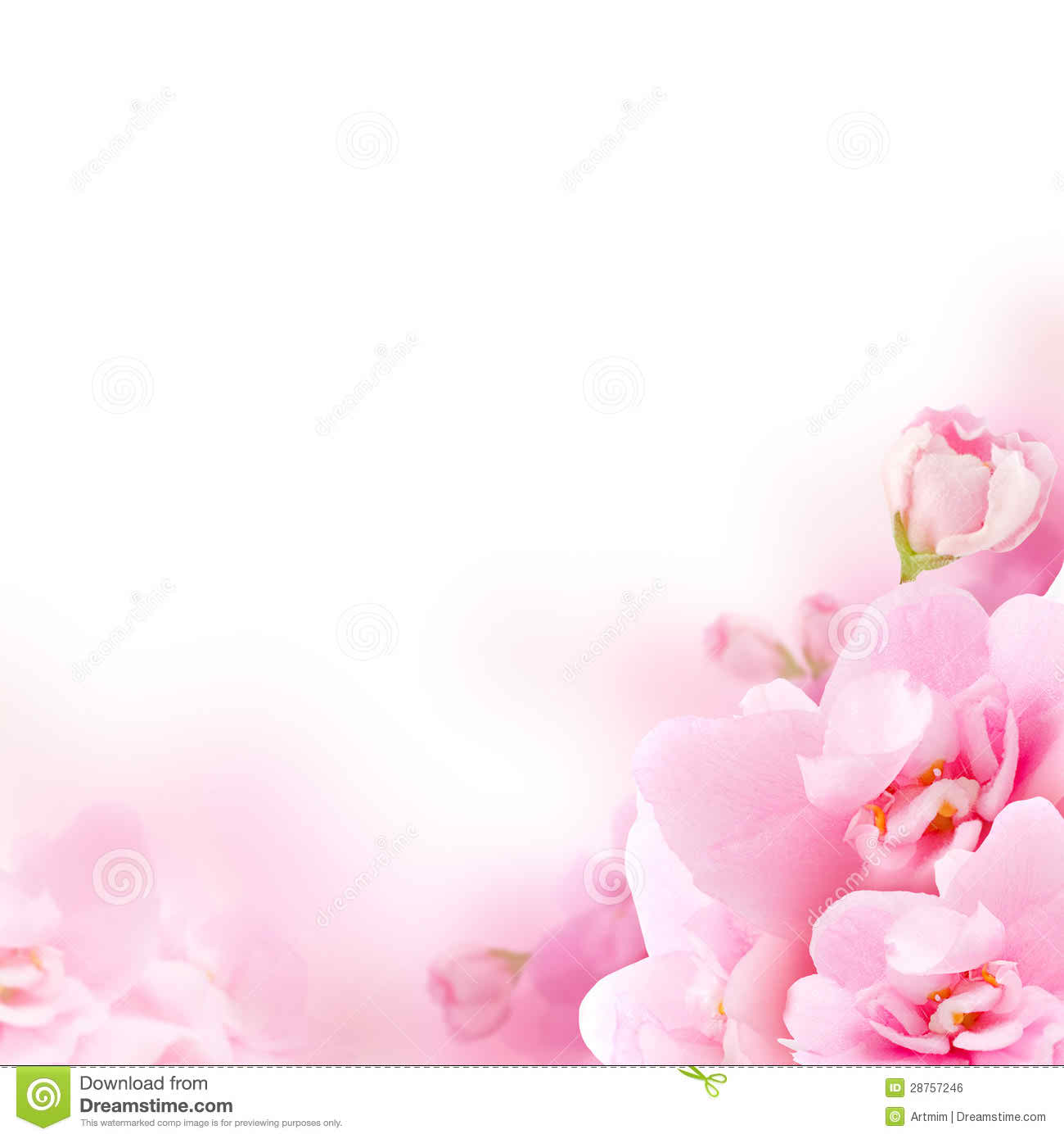 white pink flowers background