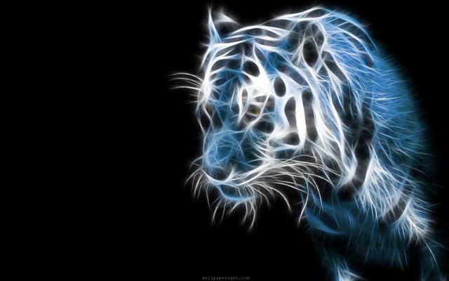 free tiger backgrounds