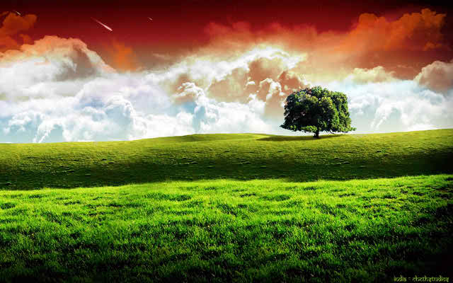 natural hd india wallpaper