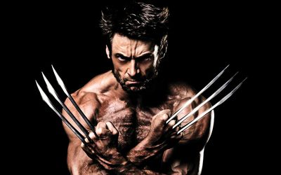 the wolverine pictures