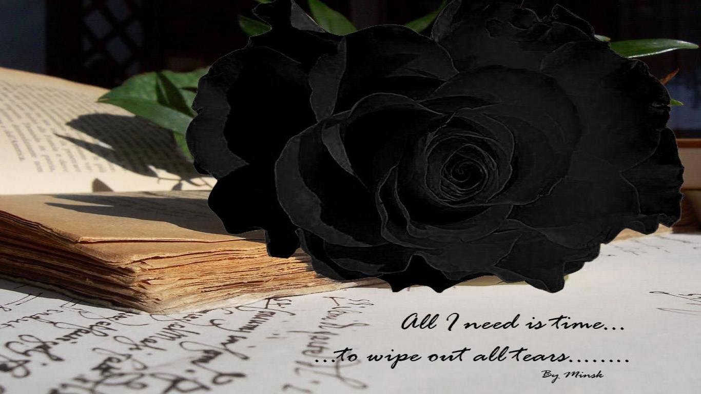 book on black rose wallpapers