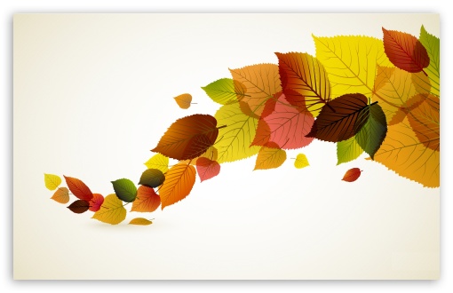 autumn leaves wallpapers image
