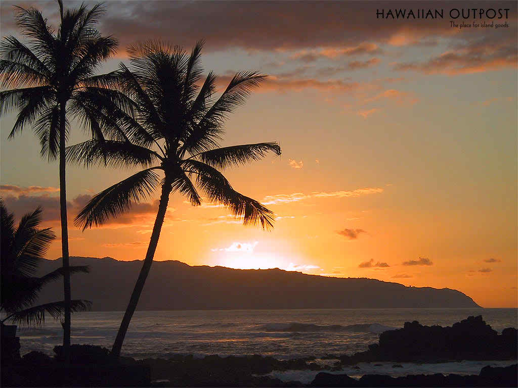 awesome background hawaii beach sunset wallpaper