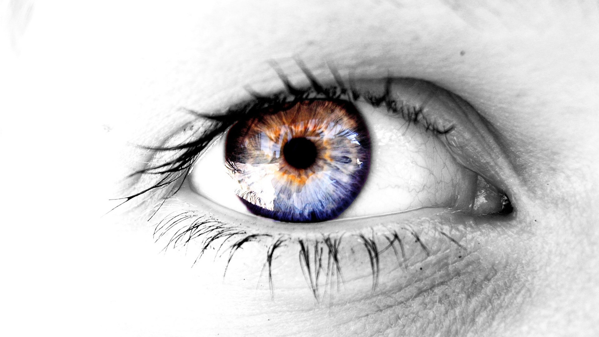 colored hd eye wallpapers