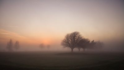 beautiful morning fog image