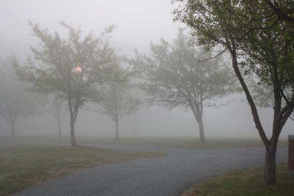 early morning fog sherry image