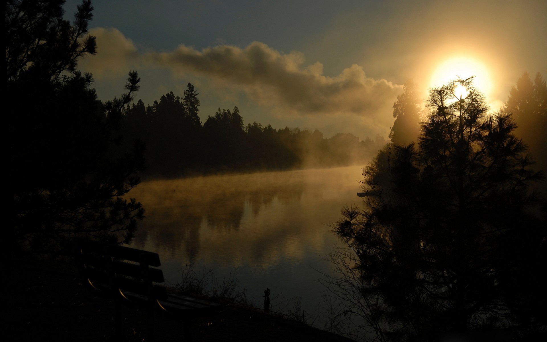 natural morning fog image