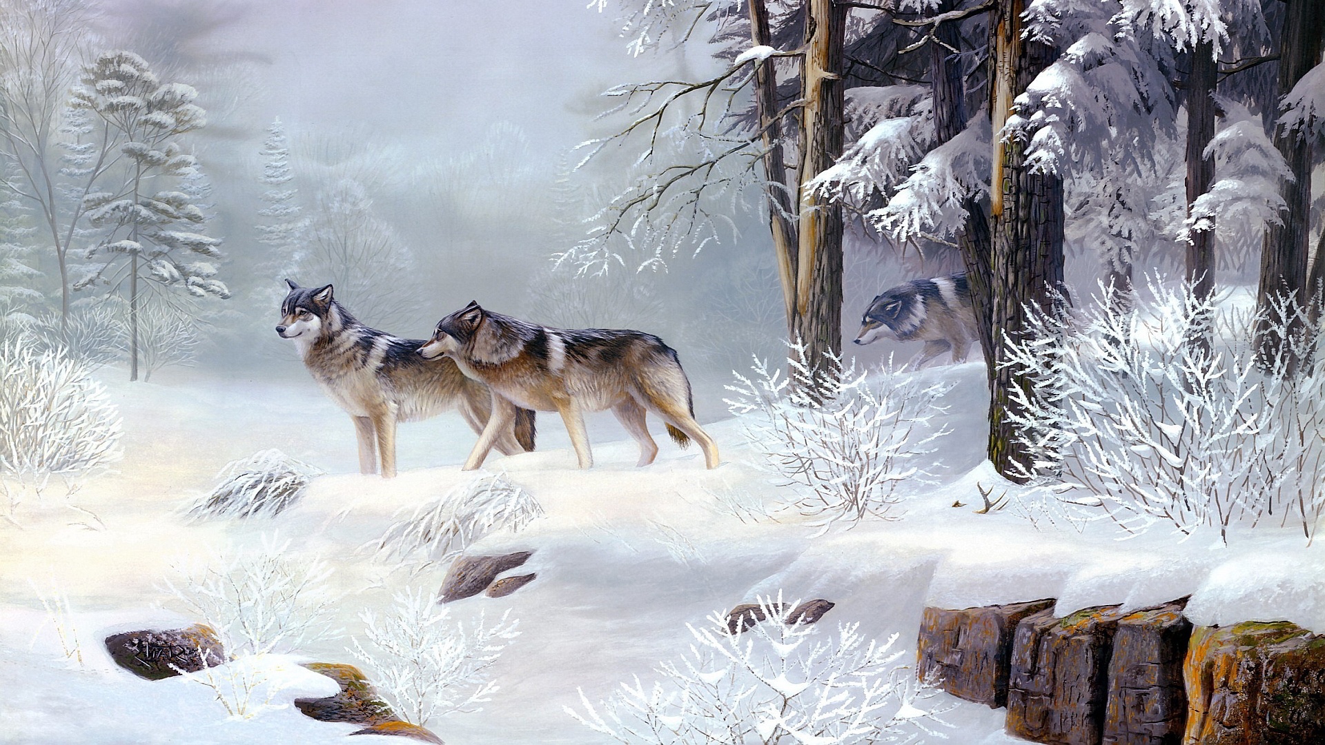 winter wolves winter art wallpapers