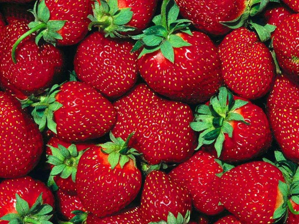 fruit strawberry wallpapers
