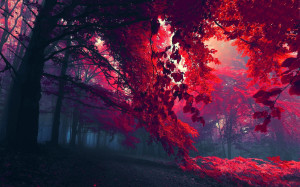 red tree tumblr wallpapers