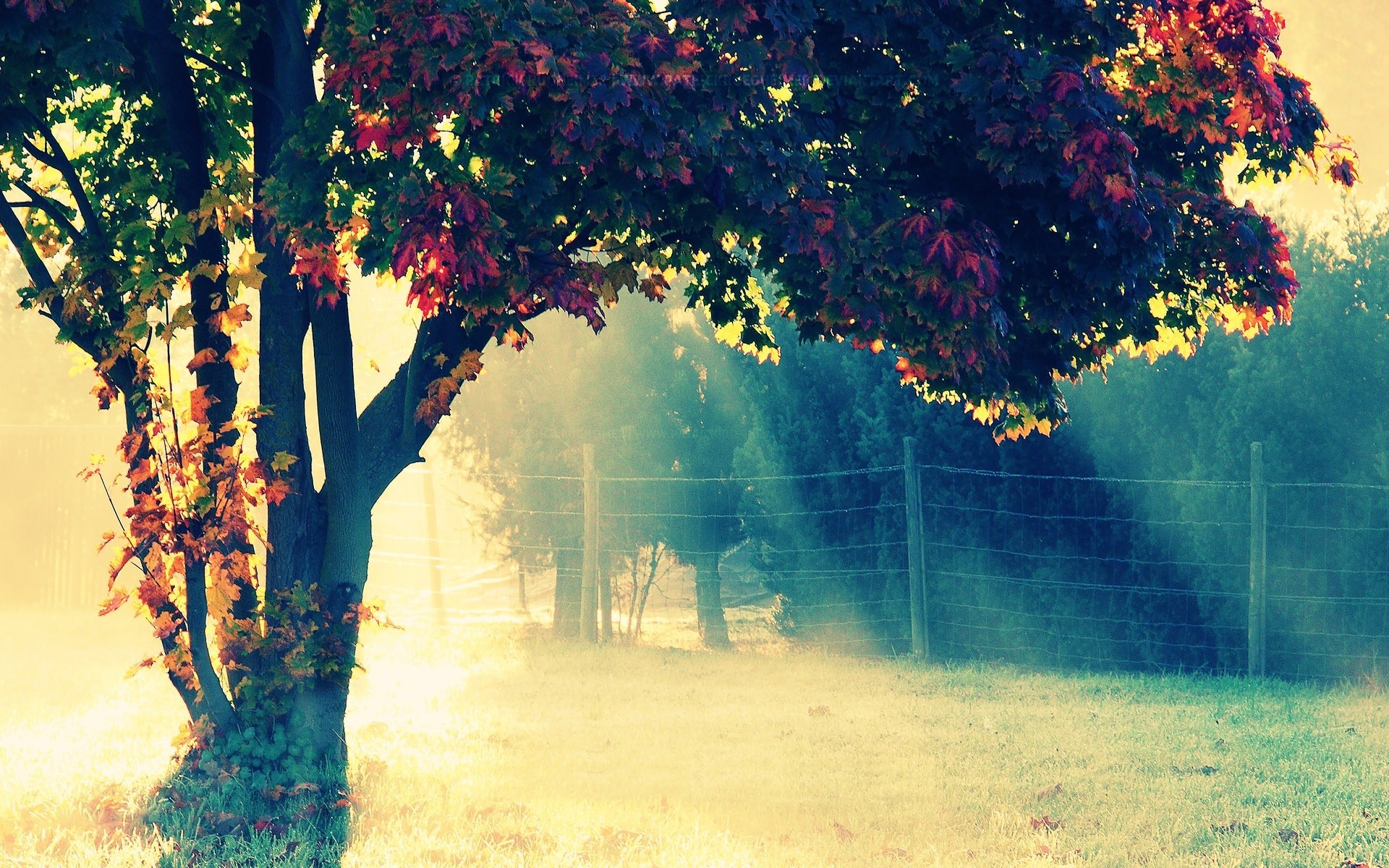 widescreen tumblr wallpapers